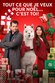 Film streaming | Voir Tout ce que je veux pour Noël... c'est toi ! en streaming | HD-serie