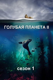 Blue Planet II Season 1 4
