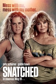 Snatched (2017)