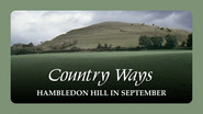 Hambledon Hill in September
