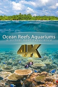 Ocean reefs aquariums (a vitual experience)