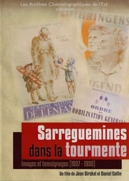 Sarreguemines dans la tourmente streaming