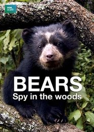 Bears: Spy in the Woods постер