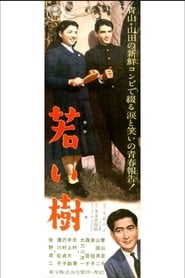 Poster 若い樹