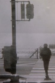 心躍る一日