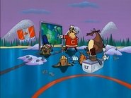 Canucks Amuck