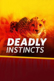 Deadly Instincts постер