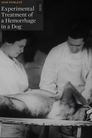 Poster Experimental Treatment of a Hemorrhage in a Dog 1930