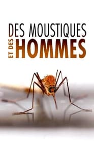 Poster Des Moustiques et des Hommes