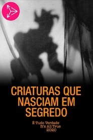 Poster Criaturas Que Nasciam em Segredo 1995