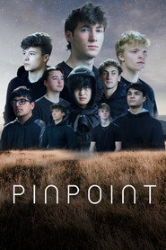 Pinpoint постер