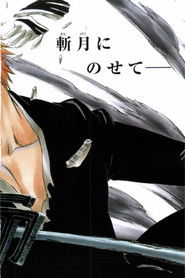 Bleach
