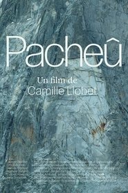 Pacheû