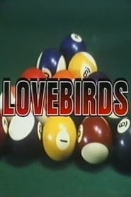 Poster Love Birds