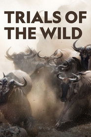 Trials of the Wild (2018)