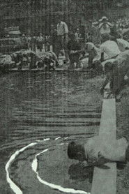 Πραγματαγνωσία