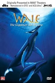 Poster Wale: Die Giganten der Meere