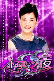 SS小燕之夜 poster