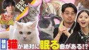 Episode 31