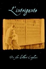 Poster The Schemer 1911