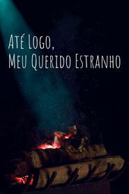 So Long, My Dear Stranger (2026)