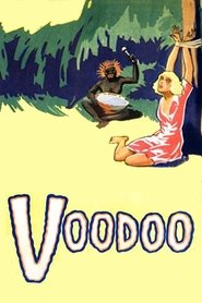 Poster Voodoo