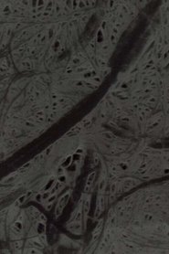 Poster Ecosystem 6 ~ A Sort of Mycelium 1989