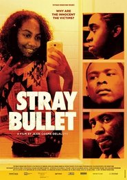Poster Stray Bullet 2018