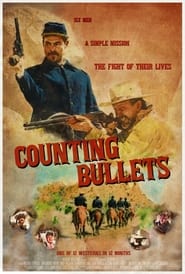 Image Counting Bullets
