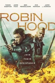 Robin Hood 1973 Review The Cool Kat S Reviews