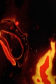 Exploration movie