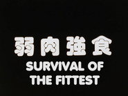 Survival of the Fittest