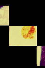 Saccharine Wonderland & Forces That Make Me Shiver