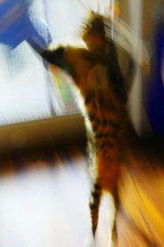 *vKy*[Mozi~HU] ? Autumn Emma � (Teljes Film Magyarul) 2020
