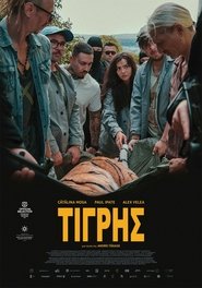 Τίγρης 2024 Δωρεάν απεριόριστη πρόσβαση