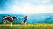 Antoinette dans les Cévennes