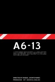 A6-13) A6-13 ()
