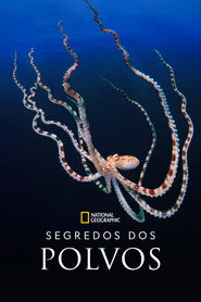 Assistir Segredos dos Polvos