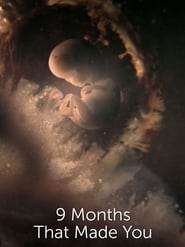 9 Months That Made You постер
