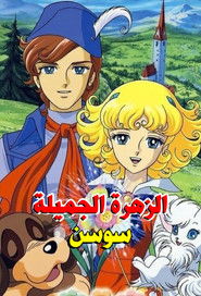 سوسن الزهرة الجميلة