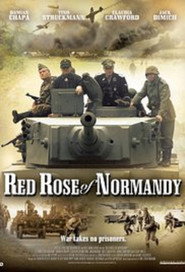 Red Rose de Normandie
