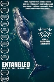 Entangled: The Race to Save Right Whales from Extinction постер