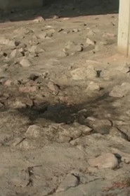 2005.1 Sandy River Water