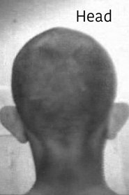 Poster for Head
