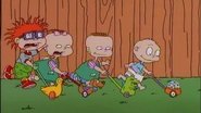 Chuckie's A Lefty