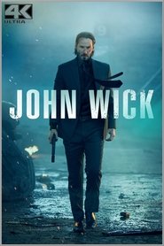 John Wick (2014)