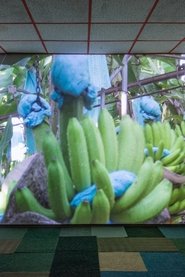 Poster The Inner Life of Exterior Plants 2019