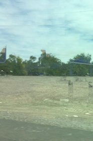 This Cacophony Runs Over Me (2017)