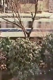 Poster Like A Passing Train 2 1979