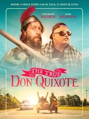 The True Don Quixote постер